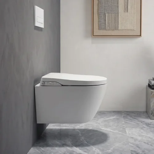 Saniclear Jama Spray rimless toilet with shower bidet seat