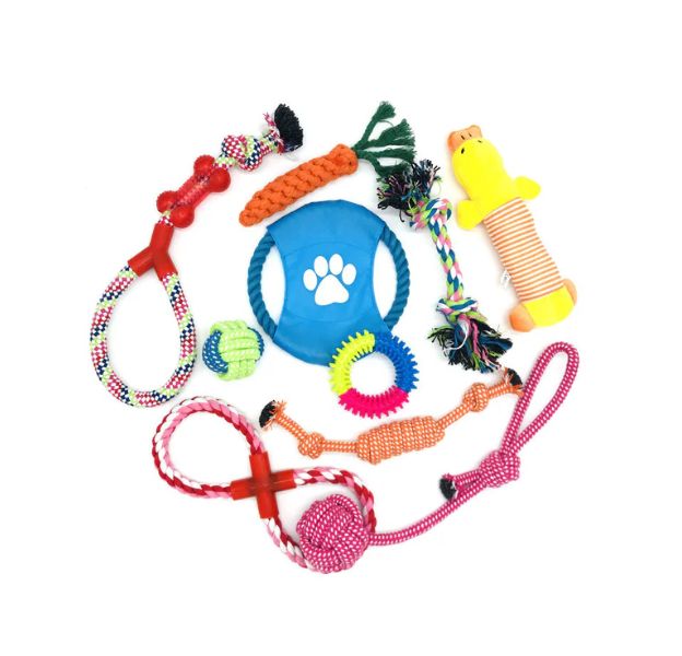 DoggyKingdom Chew Toy Set